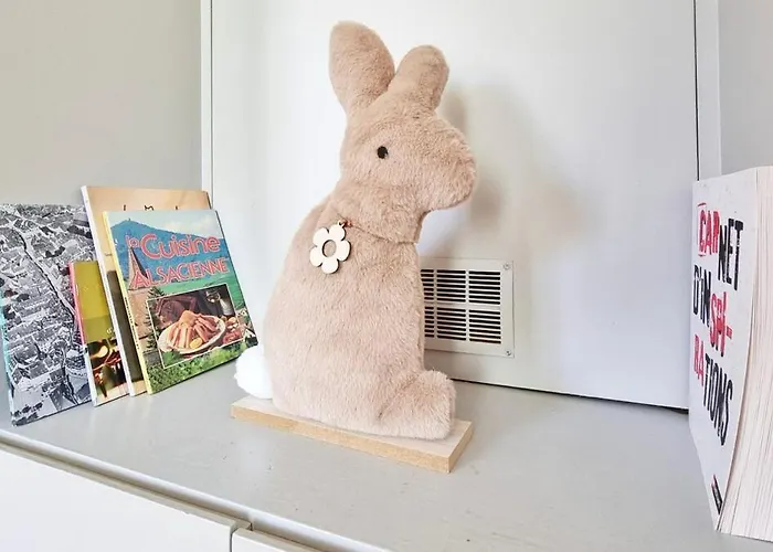 Loft Lumineux Pres Du Port Du Canal Colmar